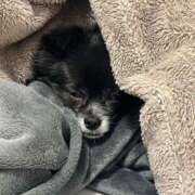 ヒメ日記 2025/07/05 15:01 投稿 くるる☆真面目な未経験♪ JKサークル