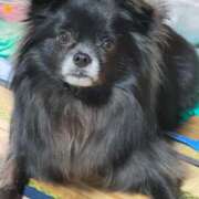 ヒメ日記 2025/07/07 22:01 投稿 くるる☆真面目な未経験♪ JKサークル