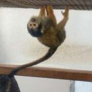 ヒメ日記 2025/07/10 19:31 投稿 くるる☆真面目な未経験♪ JKサークル