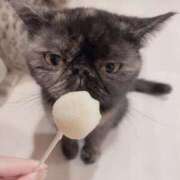 ヒメ日記 2025/07/12 22:30 投稿 くるる☆真面目な未経験♪ JKサークル