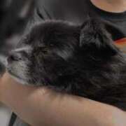 ヒメ日記 2025/07/16 06:00 投稿 くるる☆真面目な未経験♪ JKサークル