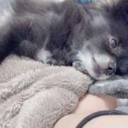 ヒメ日記 2025/07/17 08:45 投稿 くるる☆真面目な未経験♪ JKサークル