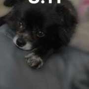 ヒメ日記 2025/07/20 08:12 投稿 くるる☆真面目な未経験♪ JKサークル