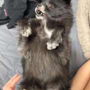 ヒメ日記 2025/07/21 13:16 投稿 くるる☆真面目な未経験♪ JKサークル