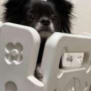 ヒメ日記 2025/07/21 22:23 投稿 くるる☆真面目な未経験♪ JKサークル