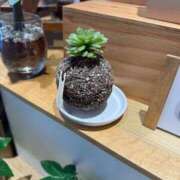 ヒメ日記 2025/07/22 18:56 投稿 くるる☆真面目な未経験♪ JKサークル