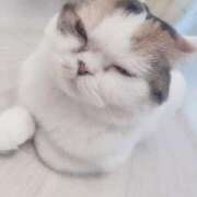 ヒメ日記 2025/07/23 21:30 投稿 くるる☆真面目な未経験♪ JKサークル