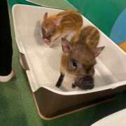 ヒメ日記 2025/07/25 20:16 投稿 くるる☆真面目な未経験♪ JKサークル