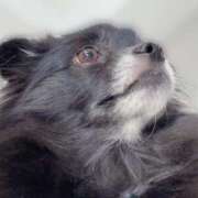 ヒメ日記 2025/07/26 21:31 投稿 くるる☆真面目な未経験♪ JKサークル