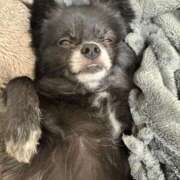 ヒメ日記 2025/07/30 18:46 投稿 くるる☆真面目な未経験♪ JKサークル