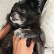 ヒメ日記 2025/07/31 06:30 投稿 くるる☆真面目な未経験♪ JKサークル