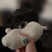 ヒメ日記 2025/08/01 16:15 投稿 くるる☆真面目な未経験♪ JKサークル