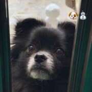 ヒメ日記 2025/08/03 14:45 投稿 くるる☆真面目な未経験♪ JKサークル