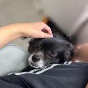 ヒメ日記 2025/08/04 20:03 投稿 くるる☆真面目な未経験♪ JKサークル