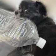 ヒメ日記 2025/08/05 16:30 投稿 くるる☆真面目な未経験♪ JKサークル