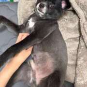 ヒメ日記 2025/08/06 20:16 投稿 くるる☆真面目な未経験♪ JKサークル