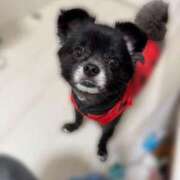 ヒメ日記 2025/08/06 23:00 投稿 くるる☆真面目な未経験♪ JKサークル