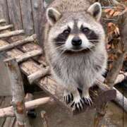 ヒメ日記 2025/08/08 18:03 投稿 くるる☆真面目な未経験♪ JKサークル