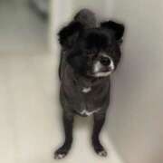 ヒメ日記 2025/08/09 02:17 投稿 くるる☆真面目な未経験♪ JKサークル