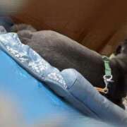 ヒメ日記 2025/08/12 13:38 投稿 くるる☆真面目な未経験♪ JKサークル