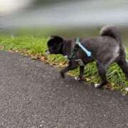 ヒメ日記 2025/08/13 06:09 投稿 くるる☆真面目な未経験♪ JKサークル