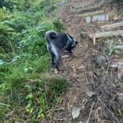 ヒメ日記 2025/08/14 06:14 投稿 くるる☆真面目な未経験♪ JKサークル