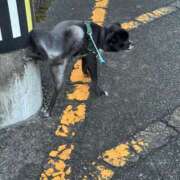 ヒメ日記 2025/08/15 06:12 投稿 くるる☆真面目な未経験♪ JKサークル