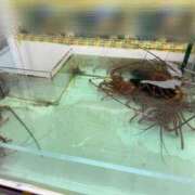 ヒメ日記 2025/08/15 16:41 投稿 くるる☆真面目な未経験♪ JKサークル