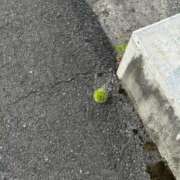 ヒメ日記 2025/08/17 07:15 投稿 くるる☆真面目な未経験♪ JKサークル