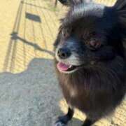 ヒメ日記 2025/08/17 10:40 投稿 くるる☆真面目な未経験♪ JKサークル