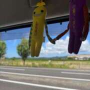 ヒメ日記 2025/08/18 10:01 投稿 くるる☆真面目な未経験♪ JKサークル