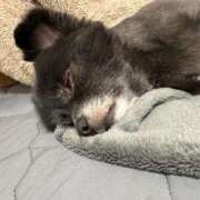 ヒメ日記 2025/08/18 22:51 投稿 くるる☆真面目な未経験♪ JKサークル