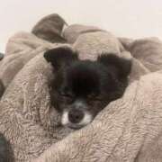 ヒメ日記 2025/08/20 18:23 投稿 くるる☆真面目な未経験♪ JKサークル