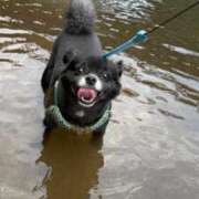 ヒメ日記 2025/08/25 20:02 投稿 くるる☆真面目な未経験♪ JKサークル