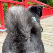 ヒメ日記 2025/08/26 18:30 投稿 くるる☆真面目な未経験♪ JKサークル