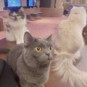 ヒメ日記 2025/08/27 20:32 投稿 くるる☆真面目な未経験♪ JKサークル