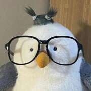 ヒメ日記 2025/08/28 00:02 投稿 くるる☆真面目な未経験♪ JKサークル