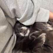 ヒメ日記 2025/08/28 00:45 投稿 くるる☆真面目な未経験♪ JKサークル