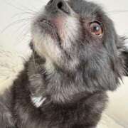 ヒメ日記 2025/08/31 19:15 投稿 くるる☆真面目な未経験♪ JKサークル