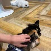 ヒメ日記 2025/09/02 16:30 投稿 くるる☆真面目な未経験♪ JKサークル