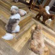 ヒメ日記 2025/09/02 19:01 投稿 くるる☆真面目な未経験♪ JKサークル