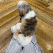 ヒメ日記 2025/09/04 21:45 投稿 くるる☆真面目な未経験♪ JKサークル