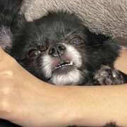 ヒメ日記 2025/09/06 16:15 投稿 くるる☆真面目な未経験♪ JKサークル