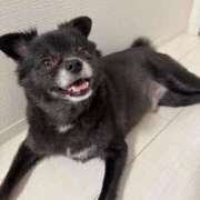 ヒメ日記 2025/09/07 11:30 投稿 くるる☆真面目な未経験♪ JKサークル