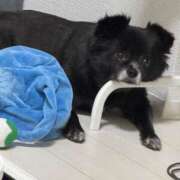 ヒメ日記 2025/09/07 19:15 投稿 くるる☆真面目な未経験♪ JKサークル