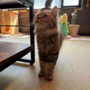 ヒメ日記 2025/09/09 20:30 投稿 くるる☆真面目な未経験♪ JKサークル