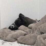 ヒメ日記 2025/09/09 22:15 投稿 くるる☆真面目な未経験♪ JKサークル