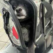 ヒメ日記 2025/09/10 17:51 投稿 くるる☆真面目な未経験♪ JKサークル