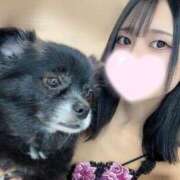 ヒメ日記 2025/09/13 22:31 投稿 くるる☆真面目な未経験♪ JKサークル