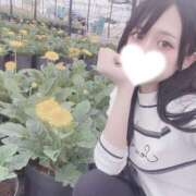 ヒメ日記 2025/09/24 06:00 投稿 くるる☆真面目な未経験♪ JKサークル